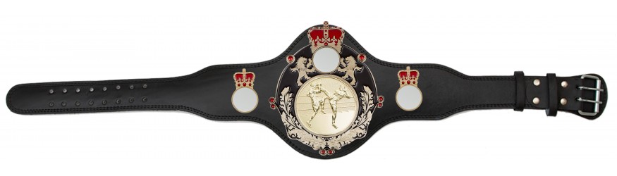 THAI BOXING CHAMPIONSHIP BELT - PLTQUEEN/B/G/TBOG - AVAILABLE IN 4 COLOURS
